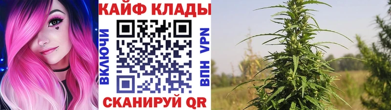 Виды наркотиков купить Курильск ГАШИШ  СК  Меф 