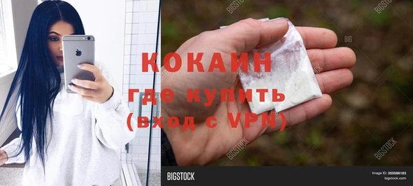 PSILOCYBIN Белокуриха