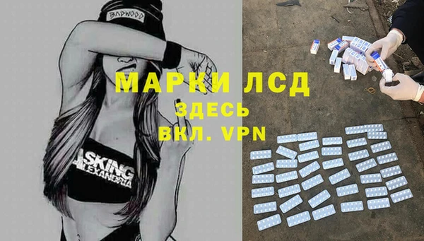 крисы Новокубанск