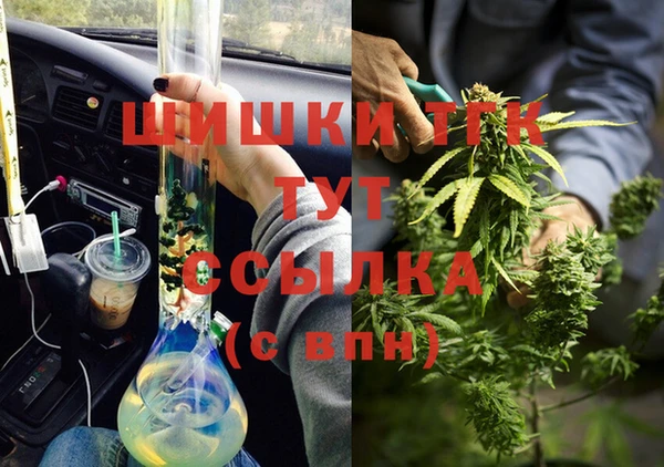 PSILOCYBIN Белокуриха