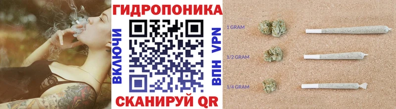 Бошки Шишки тримм  Курильск 